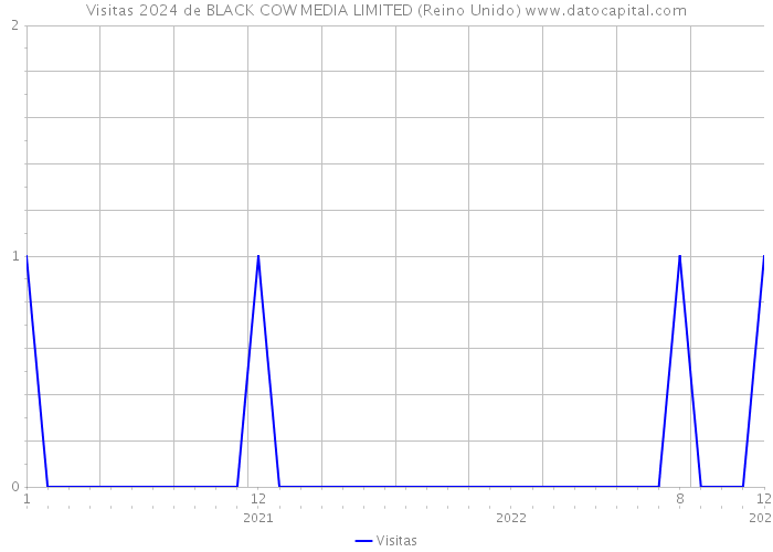 Visitas 2024 de BLACK COW MEDIA LIMITED (Reino Unido) 