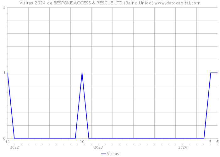 Visitas 2024 de BESPOKE ACCESS & RESCUE LTD (Reino Unido) 