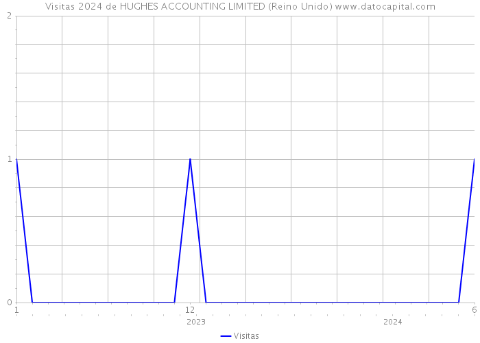 Visitas 2024 de HUGHES ACCOUNTING LIMITED (Reino Unido) 