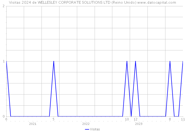 Visitas 2024 de WELLESLEY CORPORATE SOLUTIONS LTD (Reino Unido) 