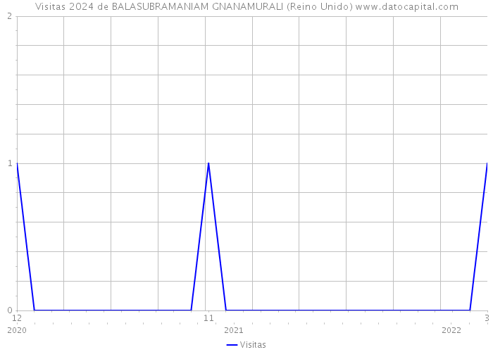 Visitas 2024 de BALASUBRAMANIAM GNANAMURALI (Reino Unido) 