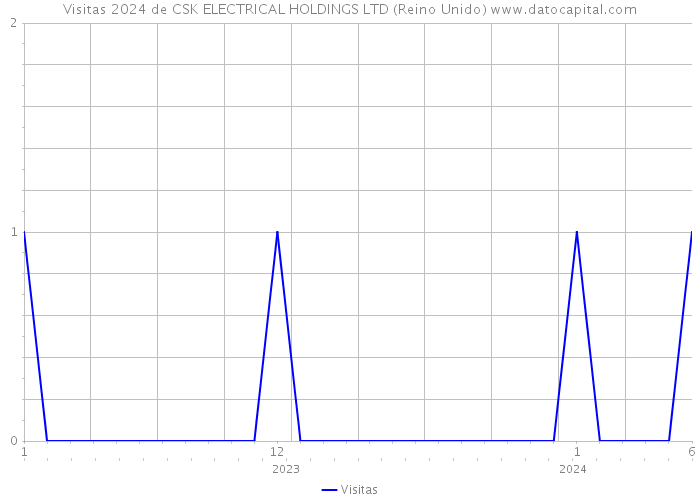 Visitas 2024 de CSK ELECTRICAL HOLDINGS LTD (Reino Unido) 