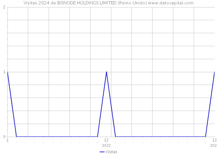 Visitas 2024 de BISNODE HOLDINGS LIMITED (Reino Unido) 