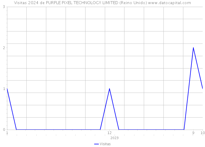 Visitas 2024 de PURPLE PIXEL TECHNOLOGY LIMITED (Reino Unido) 