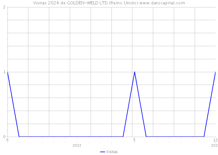 Visitas 2024 de GOLDEN-WELD LTD (Reino Unido) 