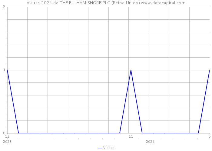 Visitas 2024 de THE FULHAM SHORE PLC (Reino Unido) 