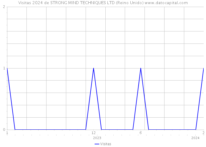 Visitas 2024 de STRONG MIND TECHNIQUES LTD (Reino Unido) 