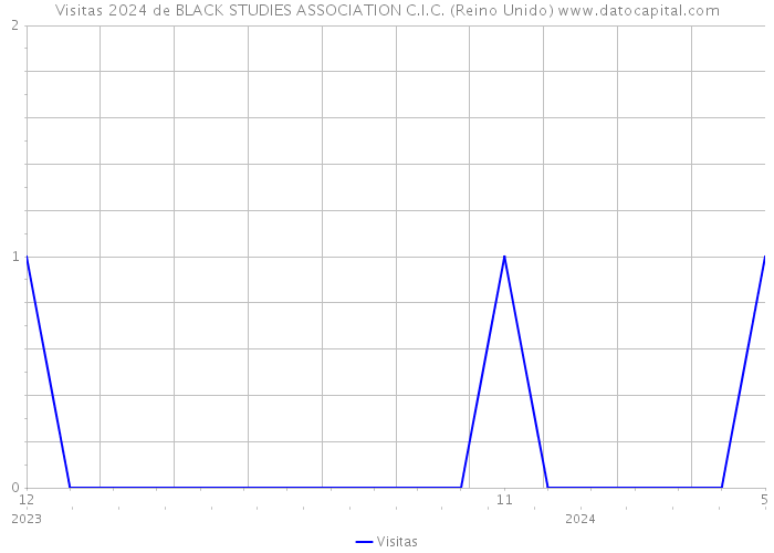 Visitas 2024 de BLACK STUDIES ASSOCIATION C.I.C. (Reino Unido) 
