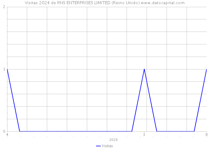 Visitas 2024 de RNS ENTERPRISES LIMITED (Reino Unido) 