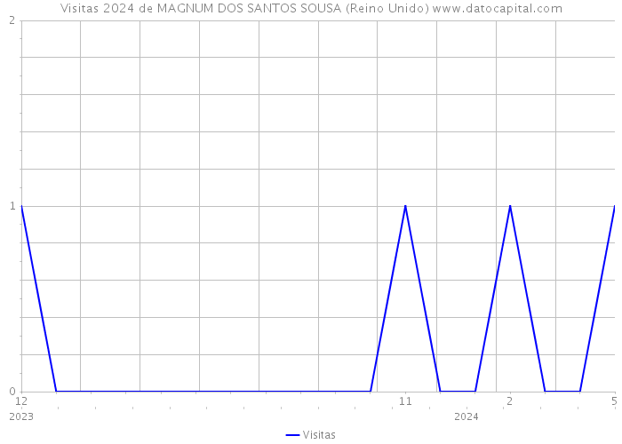 Visitas 2024 de MAGNUM DOS SANTOS SOUSA (Reino Unido) 