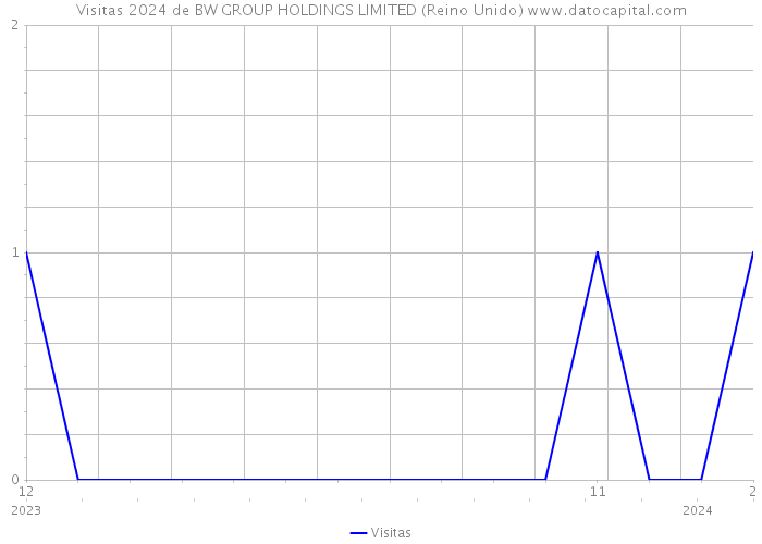 Visitas 2024 de BW GROUP HOLDINGS LIMITED (Reino Unido) 