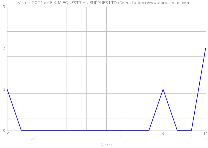 Visitas 2024 de B & M EQUESTRIAN SUPPLIES LTD (Reino Unido) 