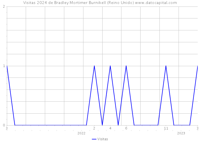 Visitas 2024 de Bradley Mortimer Burnikell (Reino Unido) 