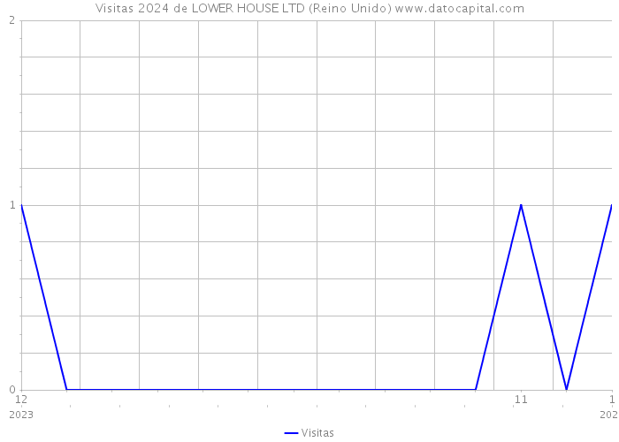 Visitas 2024 de LOWER HOUSE LTD (Reino Unido) 