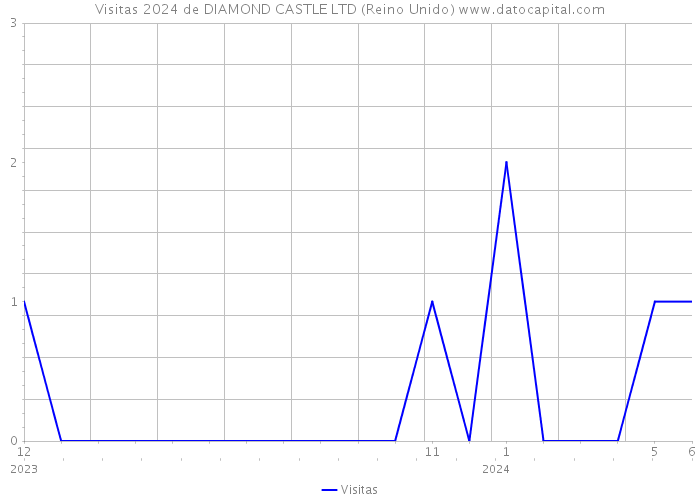 Visitas 2024 de DIAMOND CASTLE LTD (Reino Unido) 