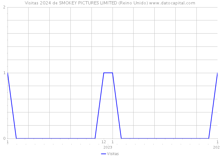 Visitas 2024 de SMOKEY PICTURES LIMITED (Reino Unido) 