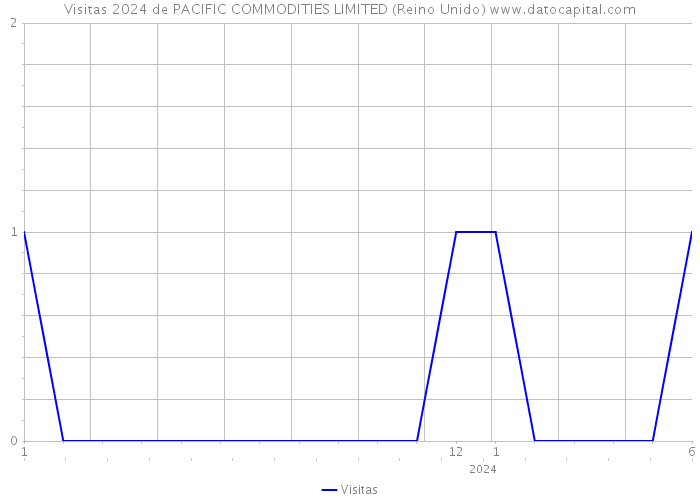 Visitas 2024 de PACIFIC COMMODITIES LIMITED (Reino Unido) 