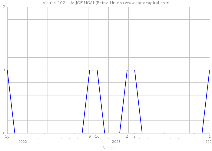 Visitas 2024 de JOE NGAI (Reino Unido) 