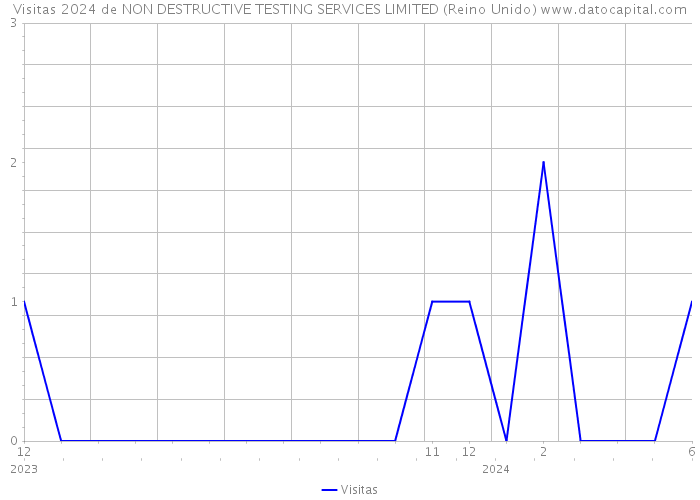 Visitas 2024 de NON DESTRUCTIVE TESTING SERVICES LIMITED (Reino Unido) 