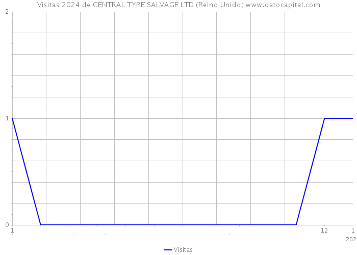 Visitas 2024 de CENTRAL TYRE SALVAGE LTD (Reino Unido) 