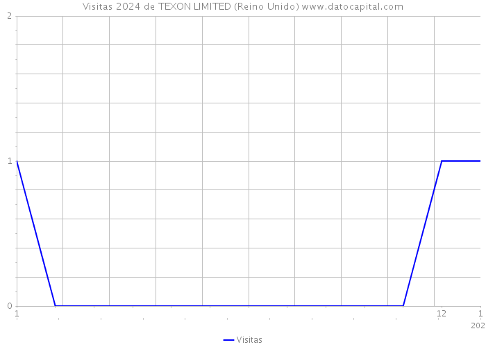 Visitas 2024 de TEXON LIMITED (Reino Unido) 