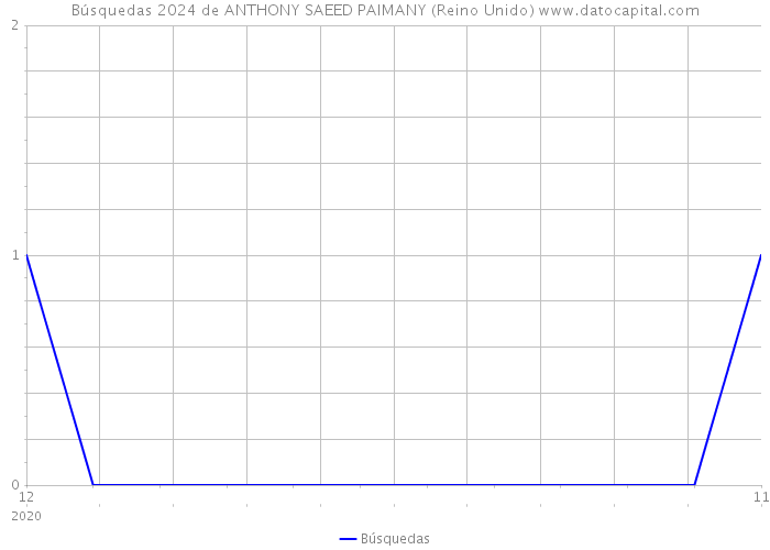 Búsquedas 2024 de ANTHONY SAEED PAIMANY (Reino Unido) 