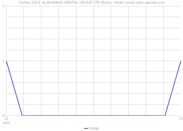 Visitas 2024 de BANNING DENTAL GROUP LTD (Reino Unido) 