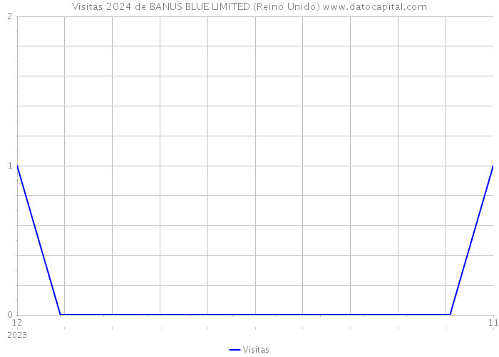 Visitas 2024 de BANUS BLUE LIMITED (Reino Unido) 