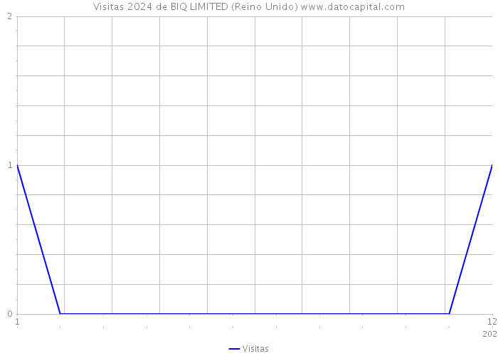 Visitas 2024 de BIQ LIMITED (Reino Unido) 