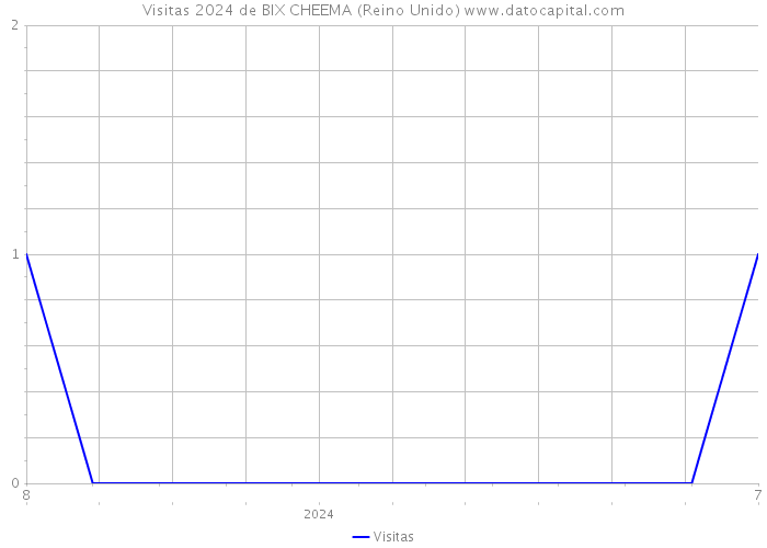 Visitas 2024 de BIX CHEEMA (Reino Unido) 