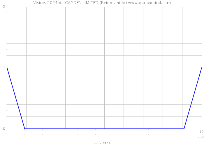 Visitas 2024 de CAYDEN LIMITED (Reino Unido) 