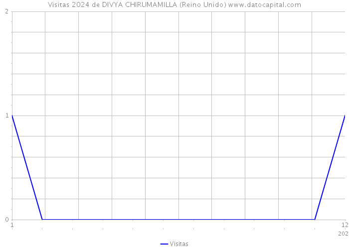 Visitas 2024 de DIVYA CHIRUMAMILLA (Reino Unido) 