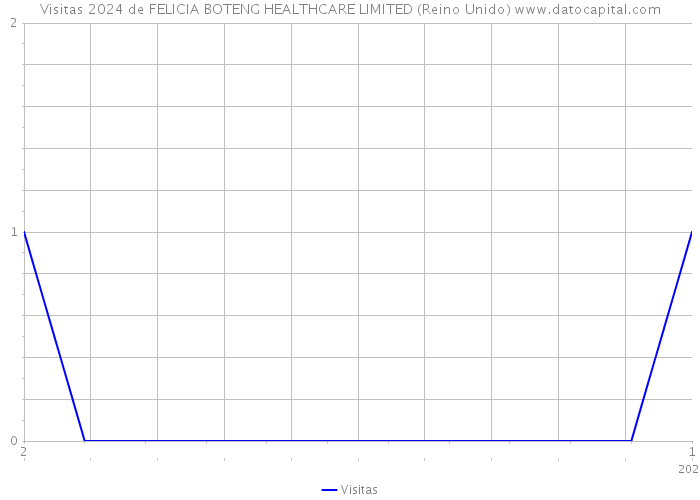 Visitas 2024 de FELICIA BOTENG HEALTHCARE LIMITED (Reino Unido) 