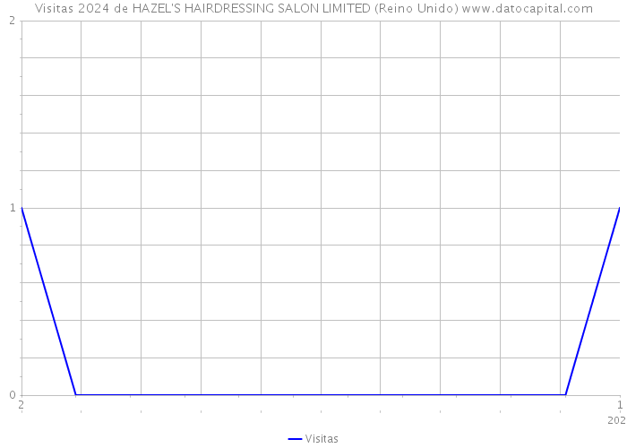 Visitas 2024 de HAZEL'S HAIRDRESSING SALON LIMITED (Reino Unido) 