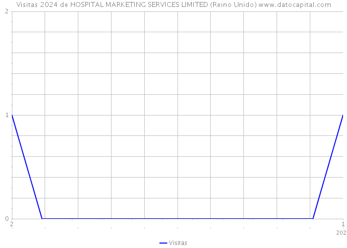 Visitas 2024 de HOSPITAL MARKETING SERVICES LIMITED (Reino Unido) 