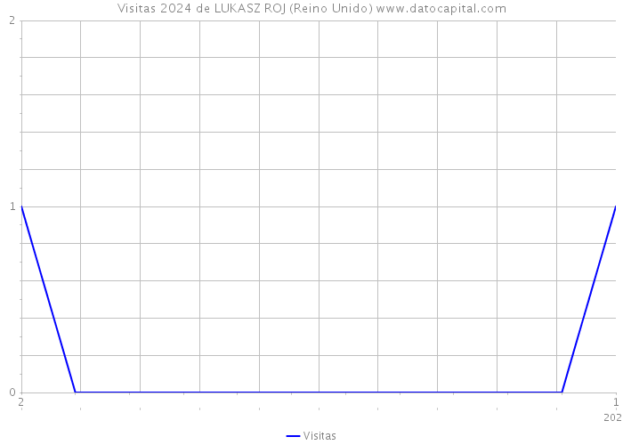 Visitas 2024 de LUKASZ ROJ (Reino Unido) 