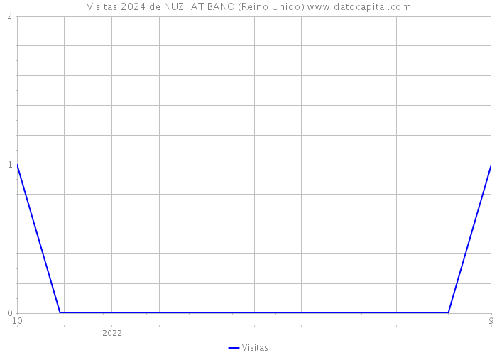 Visitas 2024 de NUZHAT BANO (Reino Unido) 