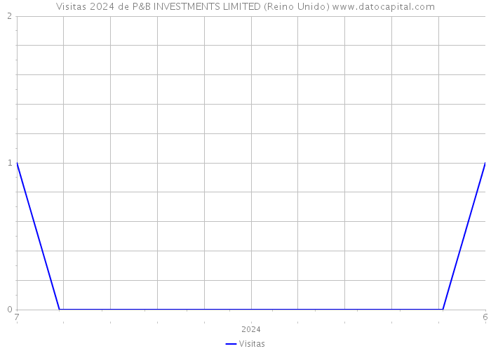 Visitas 2024 de P&B INVESTMENTS LIMITED (Reino Unido) 