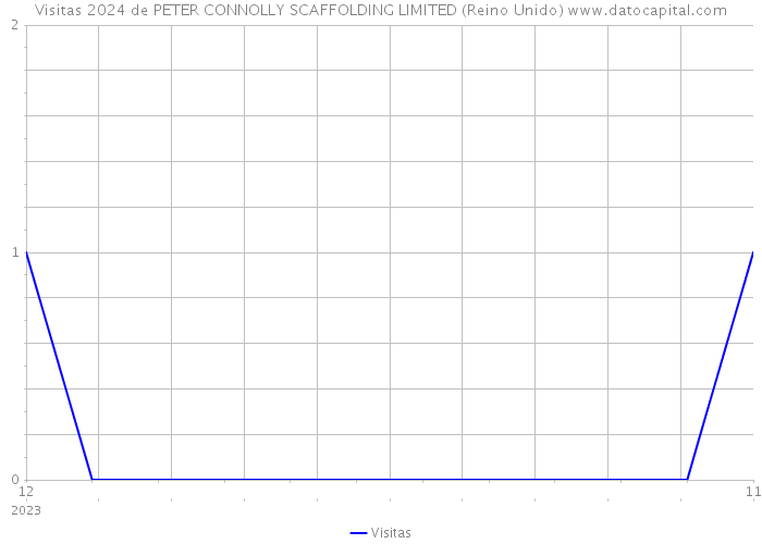 Visitas 2024 de PETER CONNOLLY SCAFFOLDING LIMITED (Reino Unido) 