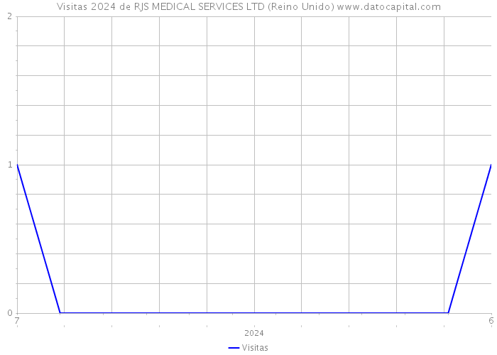 Visitas 2024 de RJS MEDICAL SERVICES LTD (Reino Unido) 