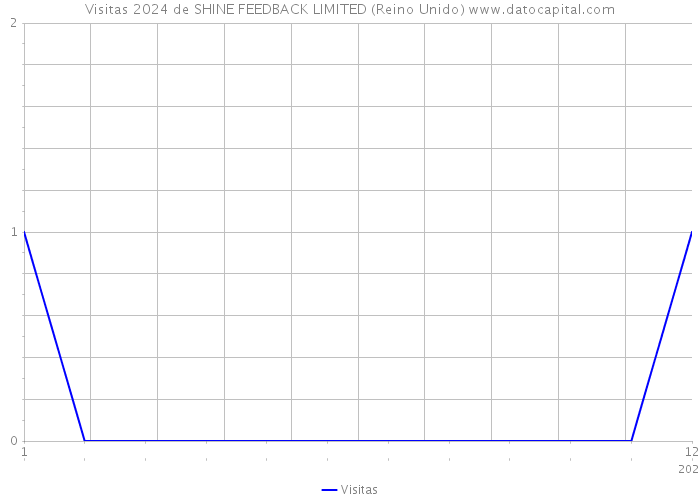 Visitas 2024 de SHINE FEEDBACK LIMITED (Reino Unido) 