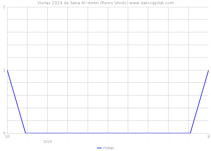 Visitas 2024 de Sana Al-Amin (Reino Unido) 