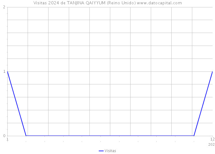 Visitas 2024 de TANJINA QAIYYUM (Reino Unido) 