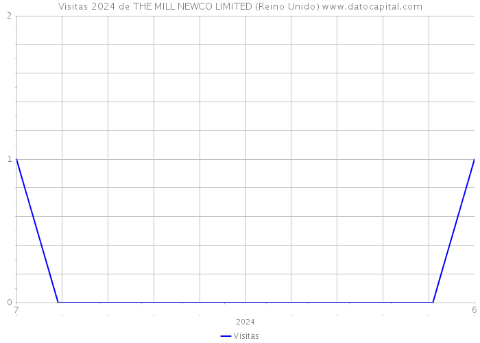 Visitas 2024 de THE MILL NEWCO LIMITED (Reino Unido) 