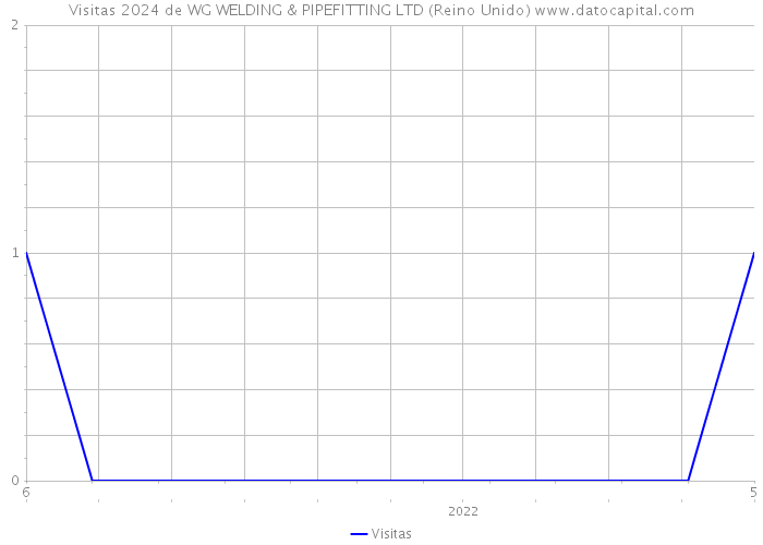 Visitas 2024 de WG WELDING & PIPEFITTING LTD (Reino Unido) 