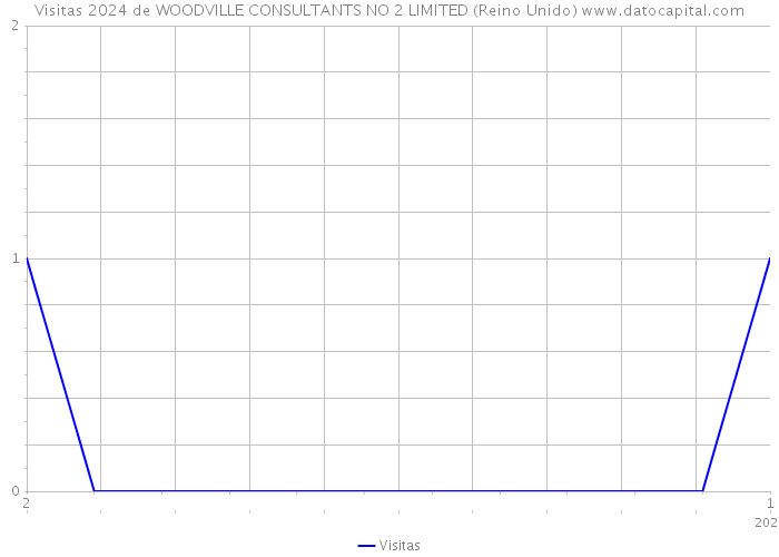 Visitas 2024 de WOODVILLE CONSULTANTS NO 2 LIMITED (Reino Unido) 