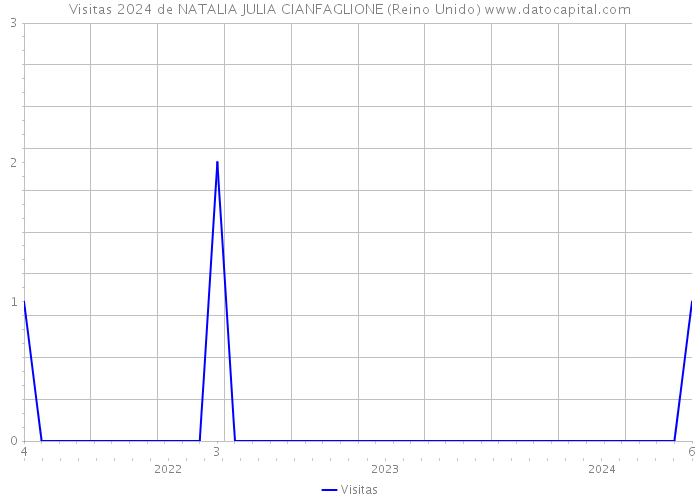 Visitas 2024 de NATALIA JULIA CIANFAGLIONE (Reino Unido) 