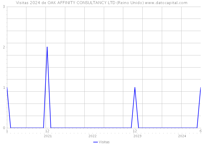 Visitas 2024 de OAK AFFINITY CONSULTANCY LTD (Reino Unido) 