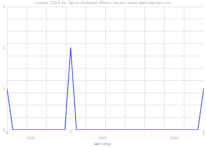 Visitas 2024 de Yalcin Akdemir (Reino Unido) 