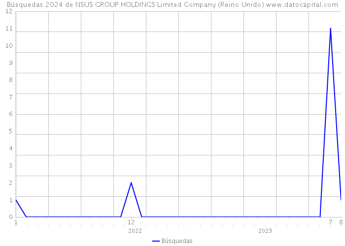 Búsquedas 2024 de NSUS GROUP HOLDINGS Limited Company (Reino Unido) 